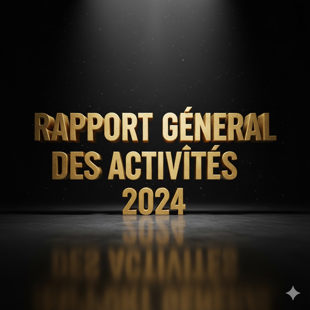 Rapport général des activités 2024